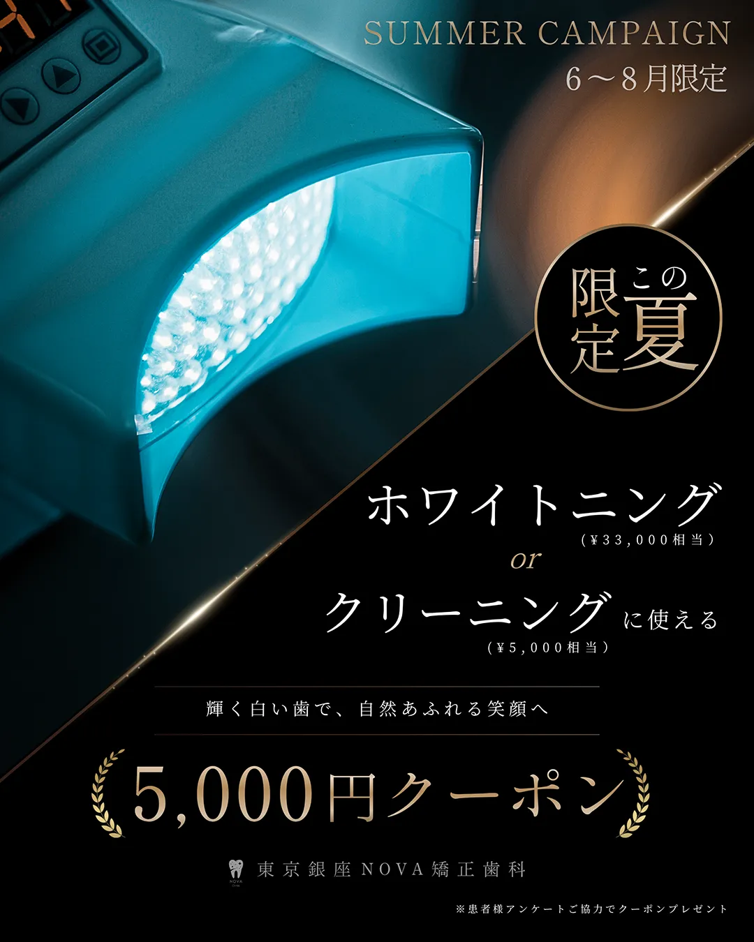 キャンペーンのご案内