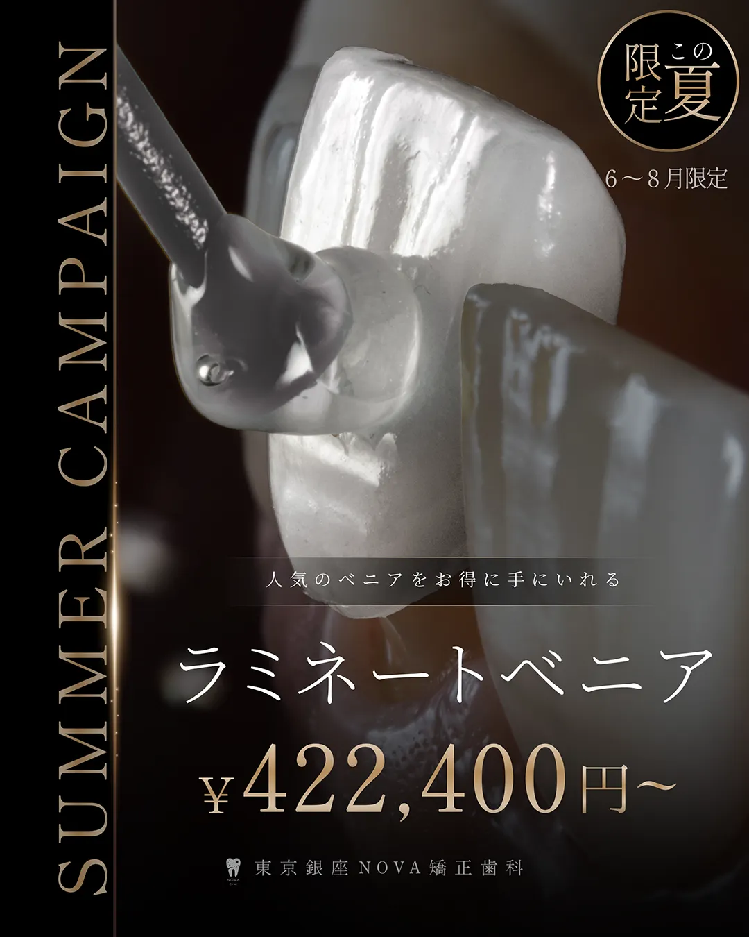 キャンペーンのご案内